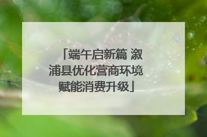 端午启新篇 溆浦县优化营商环境赋能消费升级