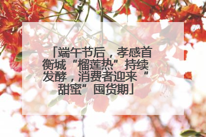 端午节后，孝感首衡城“榴莲热”持续发酵，消费者迎来“甜蜜”囤货期