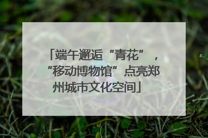 端午邂逅“青花”，“移动博物馆”点亮郑州城市文化空间