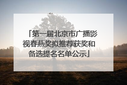 第一届北京市广播影视春燕奖拟推荐获奖和备选提名名单公示