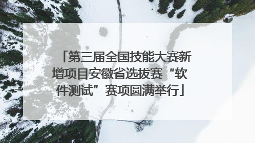 第三届全国技能大赛新增项目安徽省选拔赛“软件测试”赛项圆满举行