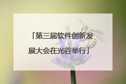 第三届软件创新发展大会在光谷举行