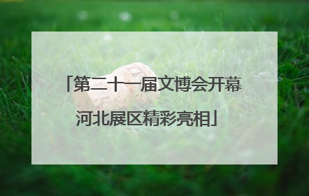 第二十一届文博会开幕 河北展区精彩亮相