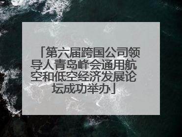 第六届跨国公司领导人青岛峰会通用航空和低空经济发展论坛成功举办