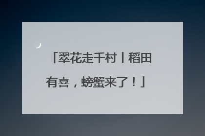 翠花走千村丨稻田有喜，螃蟹来了！