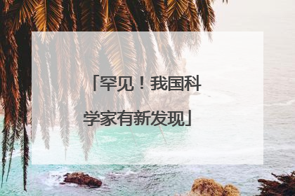 罕见！我国科学家有新发现