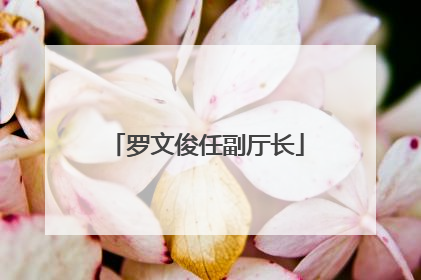 罗文俊任副厅长