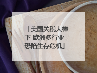 美国关税大棒下 欧洲多行业恐陷生存危机