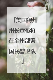 美国得州州长宣布将在全州部署国民警卫队