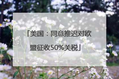 美国：同意推迟对欧盟征收50%关税