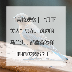 美妆观察｜“月下美人”昙花、路边的马兰头，都藏着怎样的护肤密码？