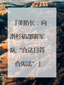 美防长：向洛杉矶部署军队“合法且符合宪法”