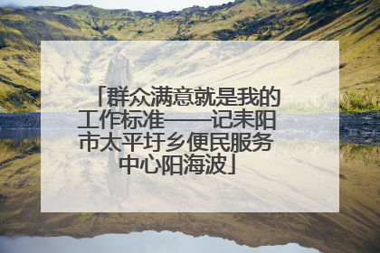 群众满意就是我的工作标准——记耒阳市太平圩乡便民服务中心阳海波