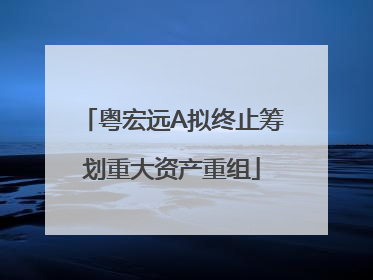 粤宏远A拟终止筹划重大资产重组