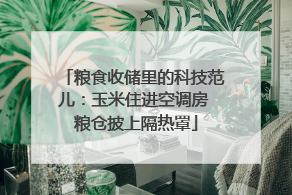 粮食收储里的科技范儿：玉米住进空调房 粮仓披上隔热罩