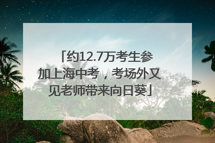 约12.7万考生参加上海中考，考场外又见老师带来向日葵
