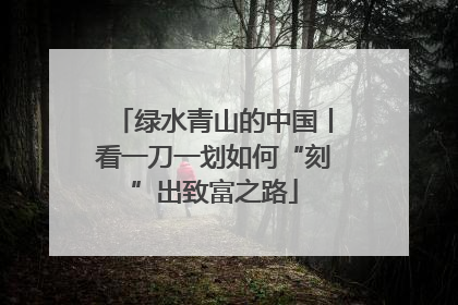 绿水青山的中国丨看一刀一划如何“刻”出致富之路