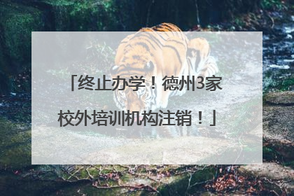 终止办学！德州3家校外培训机构注销！