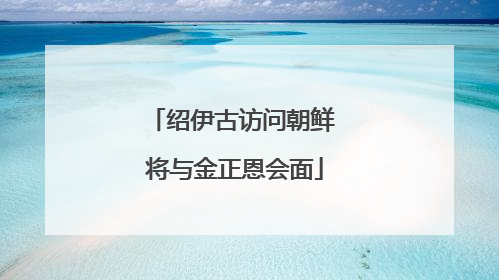 绍伊古访问朝鲜 将与金正恩会面