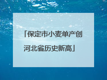 保定市小麦单产创河北省历史新高