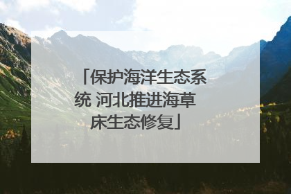 保护海洋生态系统 河北推进海草床生态修复
