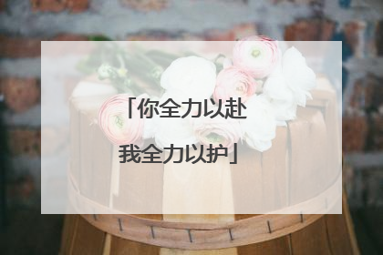 你全力以赴 我全力以护