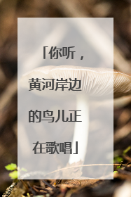 你听，黄河岸边的鸟儿正在歌唱