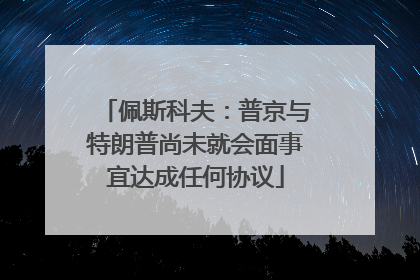 佩斯科夫：普京与特朗普尚未就会面事宜达成任何协议