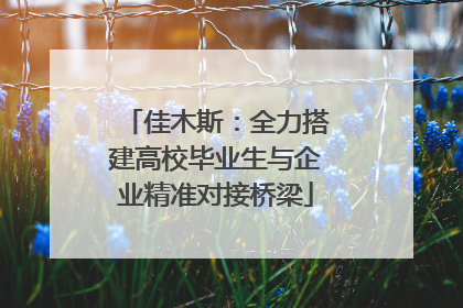 佳木斯：全力搭建高校毕业生与企业精准对接桥梁
