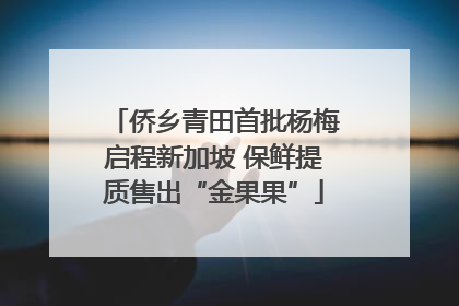 侨乡青田首批杨梅启程新加坡 保鲜提质售出“金果果”