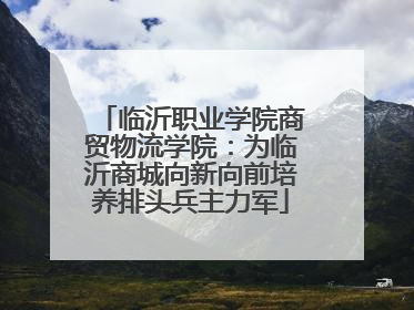 临沂职业学院商贸物流学院：为临沂商城向新向前培养排头兵主力军
