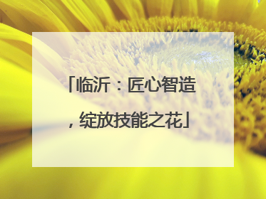 临沂：匠心智造，绽放技能之花
