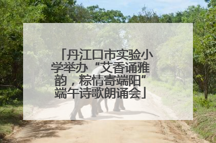 丹江口市实验小学举办“艾香诵雅韵，粽情寄端阳”端午诗歌朗诵会