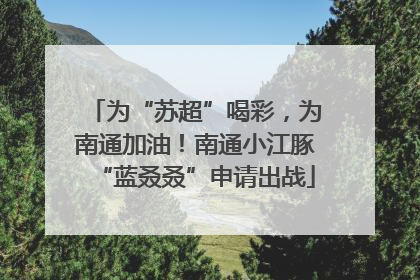 为“苏超”喝彩，为南通加油！南通小江豚“蓝叒叒”申请出战