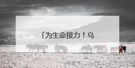 为生命接力！乌镇小伙沈佳斌完成造血干细胞捐献