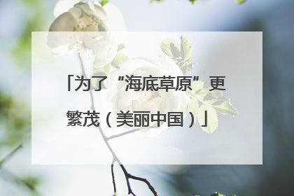 为了“海底草原”更繁茂（美丽中国）