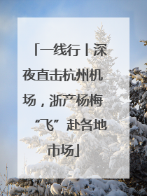 一线行丨深夜直击杭州机场，浙产杨梅“飞”赴各地市场