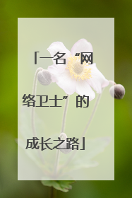 一名“网络卫士”的成长之路