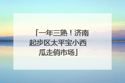 一年三熟！济南起步区太平宝小西瓜走俏市场