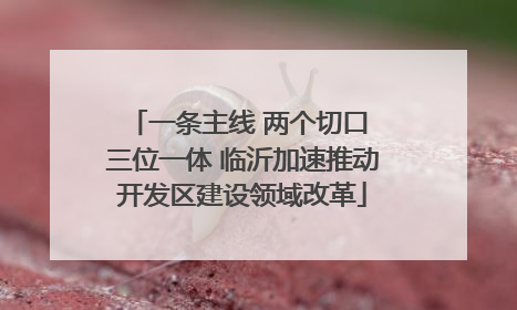 一条主线 两个切口 三位一体 临沂加速推动开发区建设领域改革