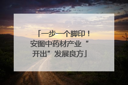 一步一个脚印！安图中药材产业“开出”发展良方