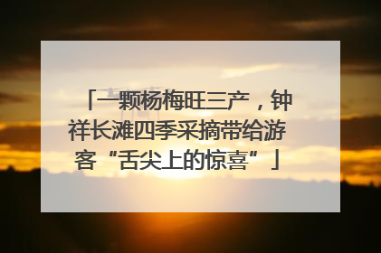一颗杨梅旺三产，钟祥长滩四季采摘带给游客“舌尖上的惊喜”