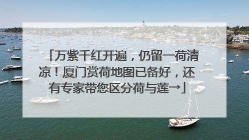 万紫千红开遍，仍留一荷清凉！厦门赏荷地图已备好，还有专家带您区分荷与莲→