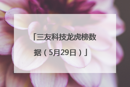 三友科技龙虎榜数据（5月29日）