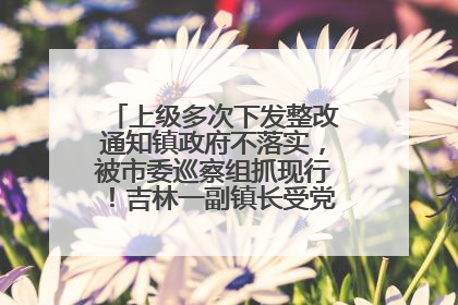 上级多次下发整改通知镇政府不落实，被市委巡察组抓现行！吉林一副镇长受党内警告处分