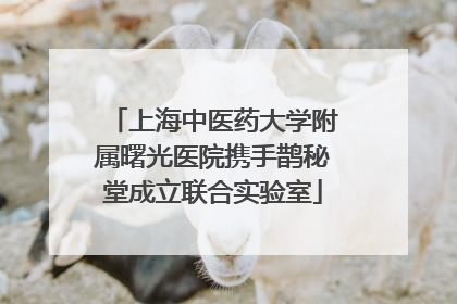 上海中医药大学附属曙光医院携手鹊秘堂成立联合实验室