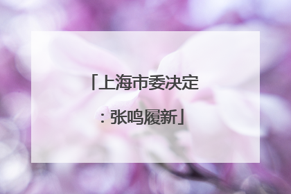 上海市委决定：张鸣履新