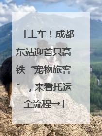 上车！成都东站迎首只高铁“宠物旅客”，来看托运全流程→