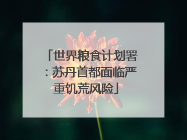 世界粮食计划署：苏丹首都面临严重饥荒风险