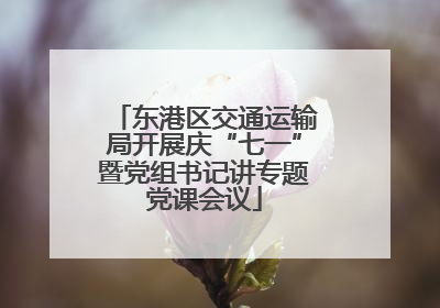 东港区交通运输局开展庆“七一”暨党组书记讲专题党课会议